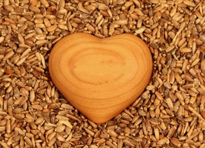 heart-1050338_640